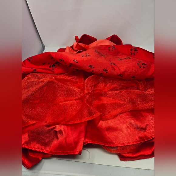 DISNEY PARKS PRINCESS ALENA OF AVATOR PLAY COSTUME RED FLORAL DRESS GIRLS 6 XS - Picture 12 of 12